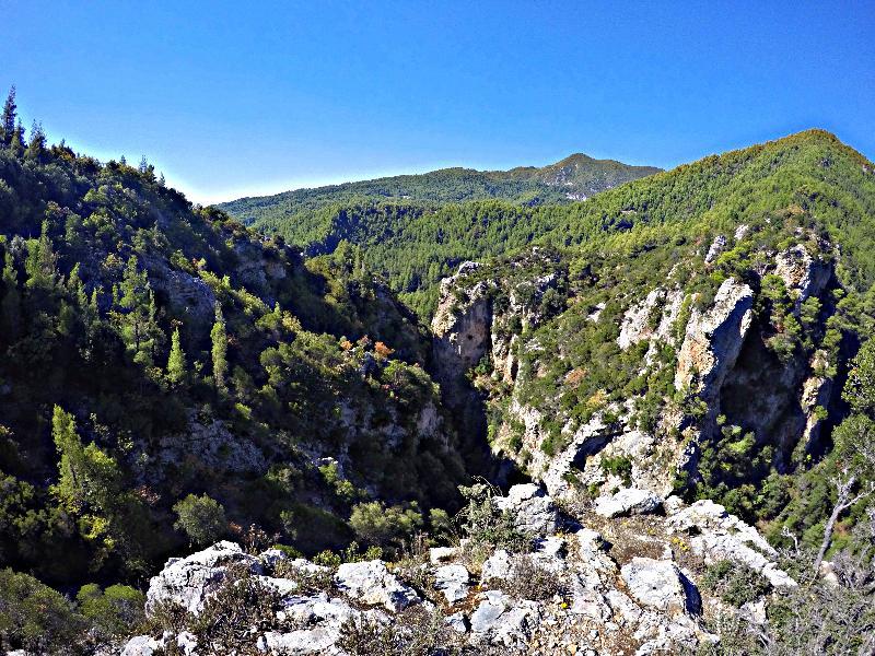 Club Agia Anna Summer Resort Esterno foto